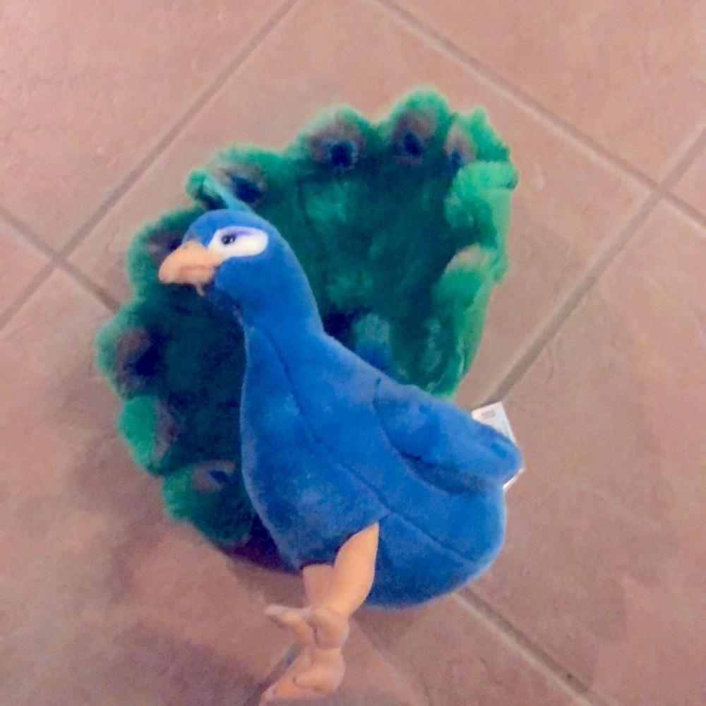 PeacockStuffy great condition